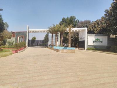 Gallery Cover Pic of Celebrity Eco Front