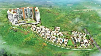 Geras Verbena High Rise