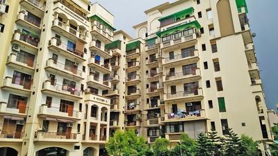 Amrapali Exotica