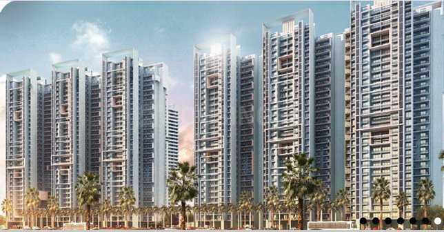 Lotus Greens Lotus Green - Image 5