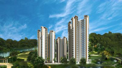 Town White Orchid