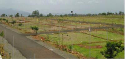 Gallery Cover Pic of Dream Park