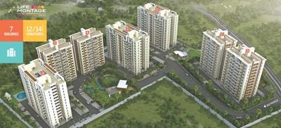 Gallery Cover Pic of Pate Life Montage Phase 1