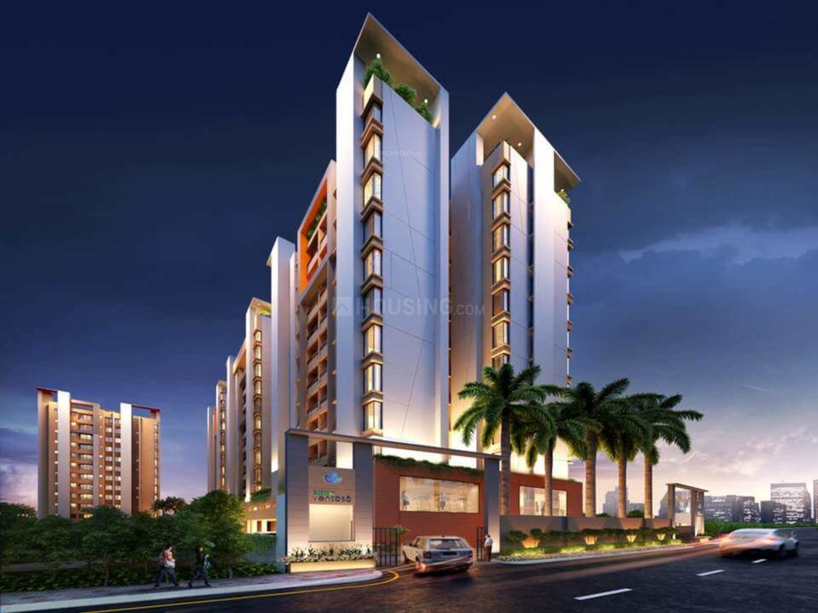 Rishi Ventoso Phase 2