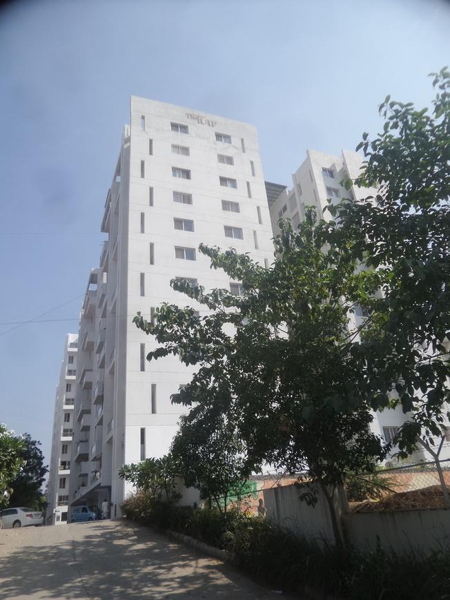 Ama The Turf Building A B In Ghorpadi Price Reviews Floor Plan