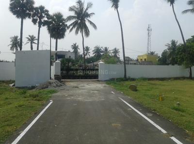 Premier Green Garden