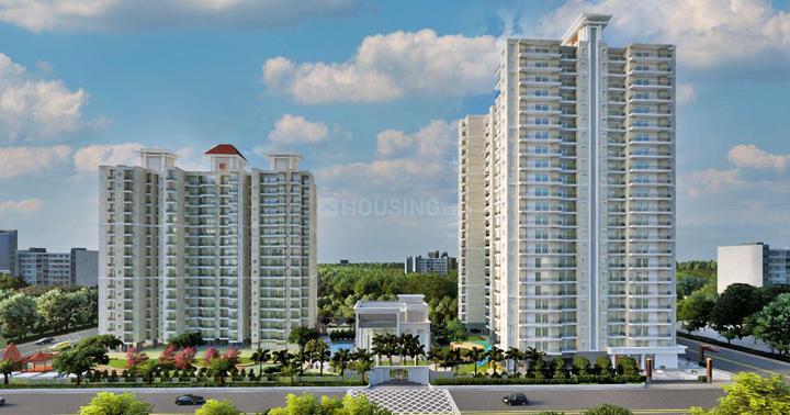 The Valley - Image 4