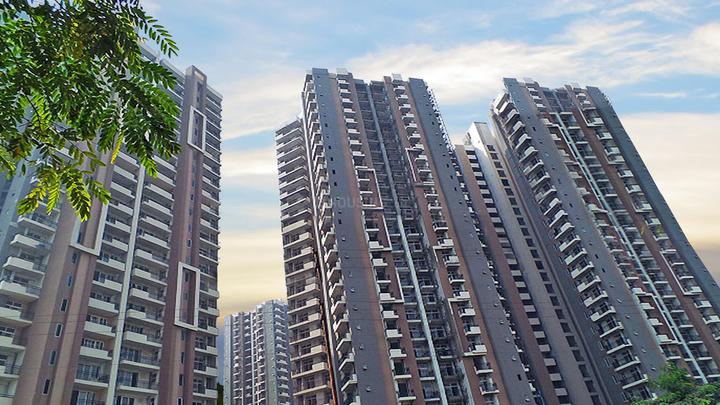 Bricks and Dreams Bricks and Dreams RG Residency - Image 3