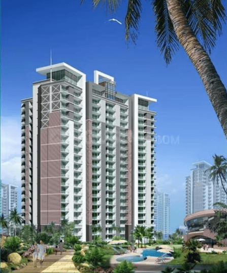 Great Value Sharanam - Image 5