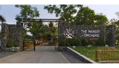Residential Lands for Sale in Sai Universe The Mango Orchard