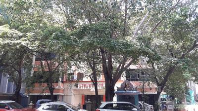 Gallery Cover Image of 1500 Sq.ft 2 BHK Independent Floor for rent in Rajparis Villa, Kilpauk for 25000