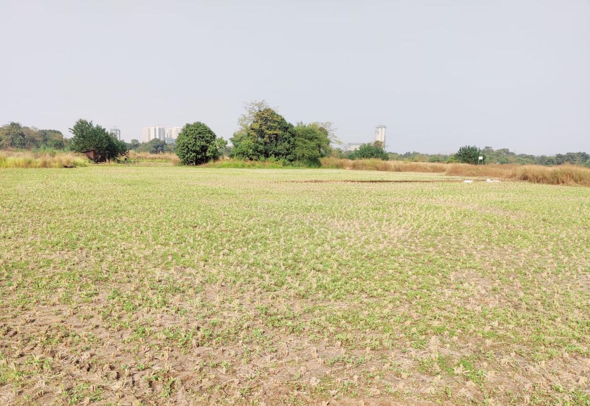 Zamindar Plots Chirle