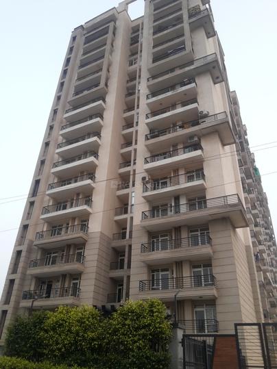 Divyansh Arc Angels - Image 5