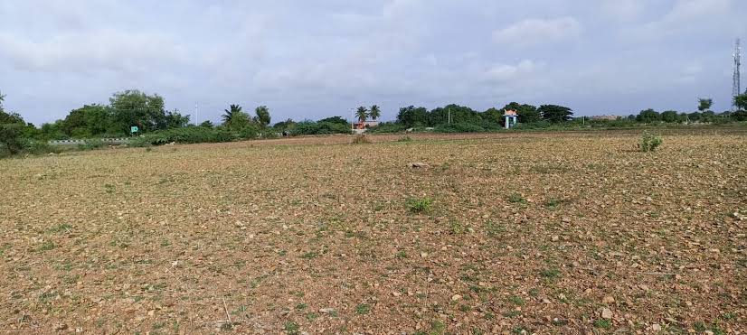 Mahamumbai Plots in Chirle