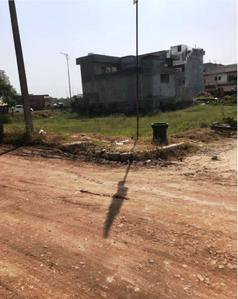 Gallery Cover Pic of TDI Colony