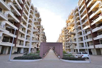 Ekta Greenville