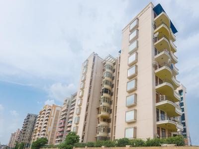 Gallery Cover Image of 2250 Sq.ft 3 BHK Apartment for buy in CGHS Green Home CGHS, Sector 52 for 13500000