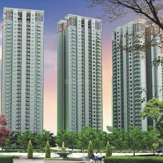 Logix Gracia - Image 5