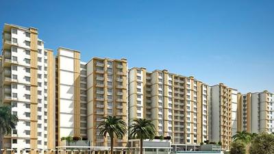 Gallery Cover Pic of Prestige Pinewood