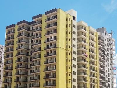 YPS Dwarika - Image 5