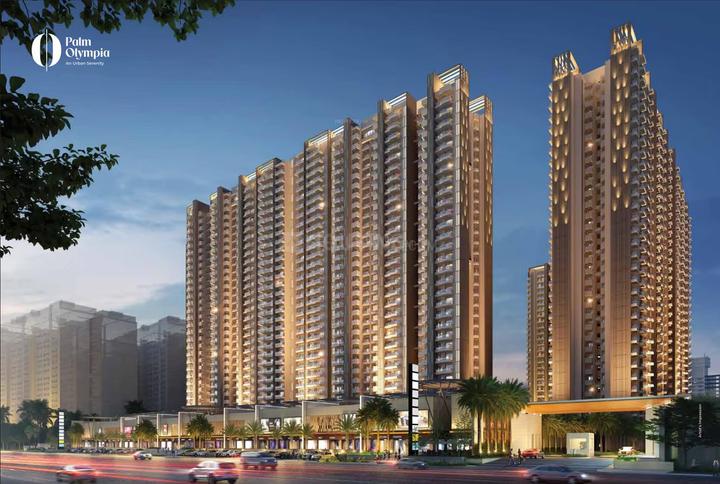 Palm Olympia - Image 4