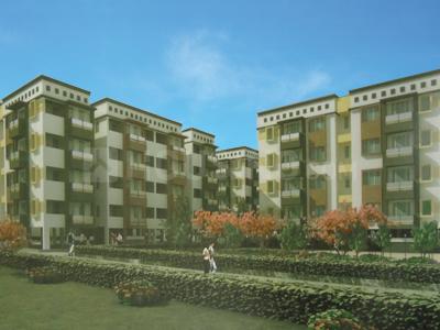 Gallery Cover Pic of Eco Bay Violet