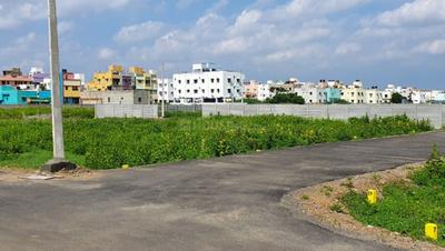 Gallery Cover Pic of Prithvi Nagar