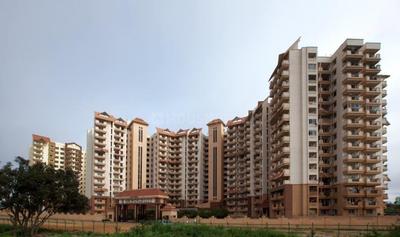 Gallery Cover Pic of HM Indigo