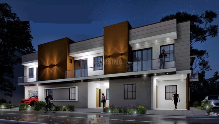 Trinity Triwoods - Image 5