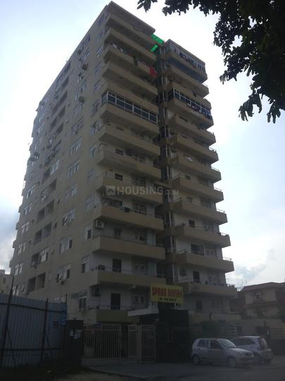 Spark Divine - Image 3