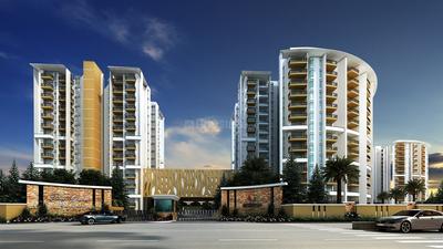 Gallery Cover Pic of Ardente Pine Grove