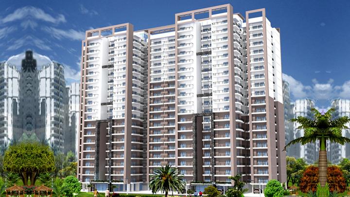 Victory Gold - Image 4