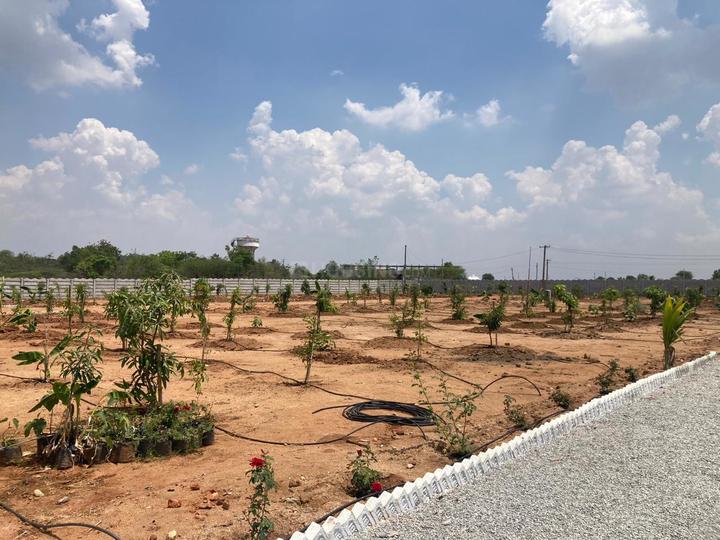 Subhodaya Nandanavanam Farm Plots in Kothur, Hyderabad Price, Reviews
