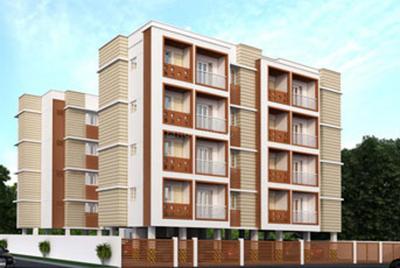 Avigna Paragon