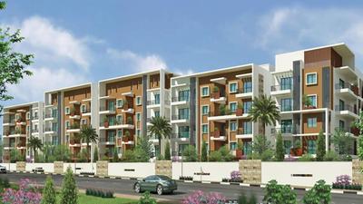 Shubh Cypress