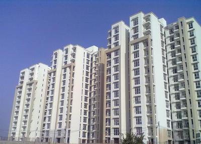 Gallery Cover Image of 1269 Sq.ft 2 BHK Apartment for rent in Tulip Grand, Sector 35 for 8000