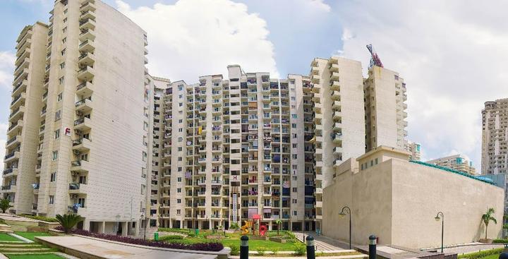 Sethi Max Royal - Image 4