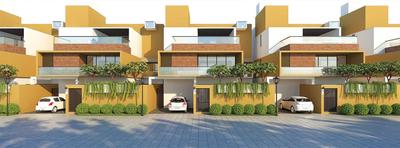 Gallery Cover Pic of Solitaire Vida 360