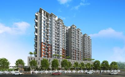 Gallery Cover Pic of Vertical Alcinia
