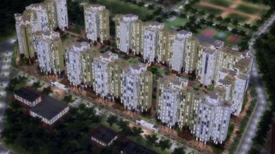 Gallery Cover Pic of Rare Townships Rising City