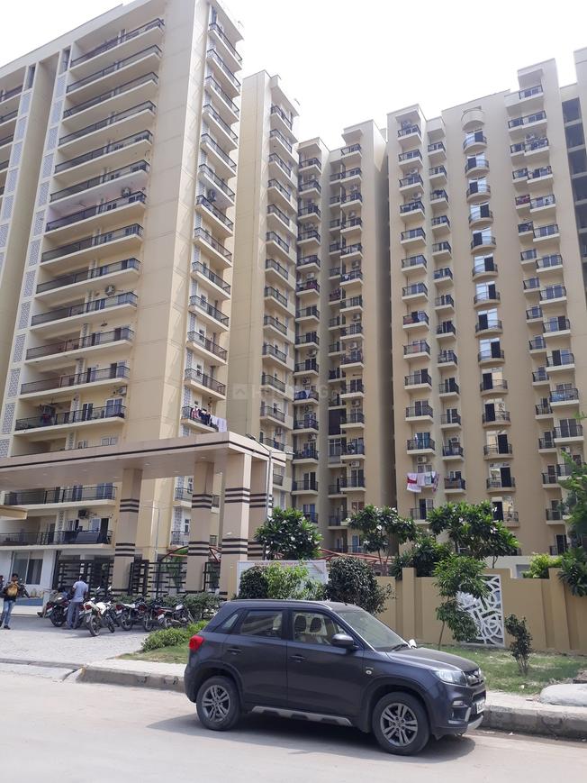 Maxblis Grand Kingston