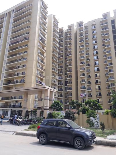 Maxblis Grand Kingston - Image 5