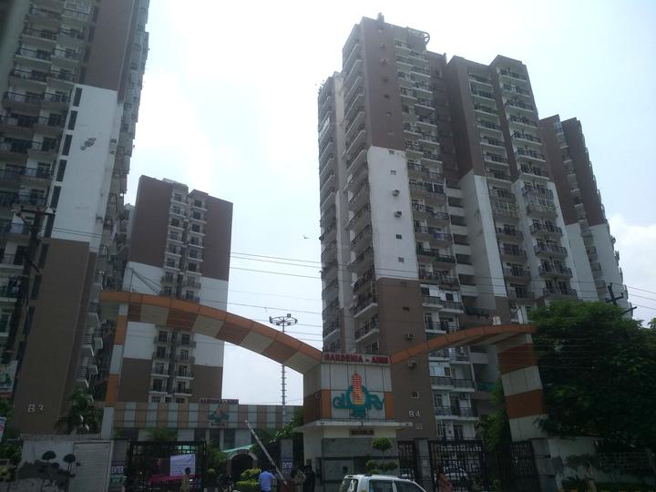 Gardenia Glory - Image 4