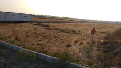 Creative Kanchi Big Town