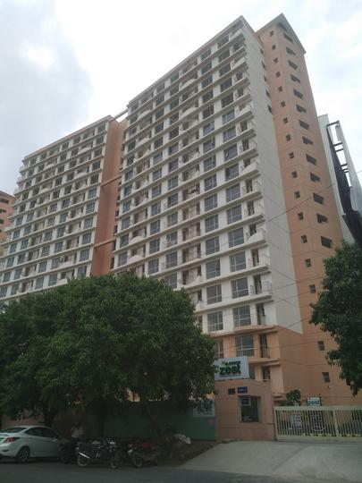 Logix Blossom Zest - Image 5