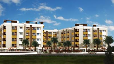 Gallery Cover Pic of Pace Anusa