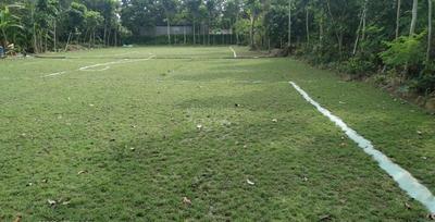 Residential Plot