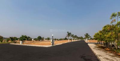 Gallery Cover Pic of Shriram Malhaar