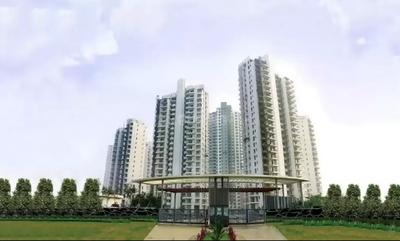Gallery Cover Image of 5000 Sq.ft 4 BHK Apartment for rent in M3M Polo Suites, Sector 65 for 110000