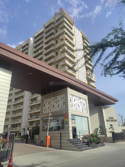 Golfgreen Elite Golf Green - Image 4